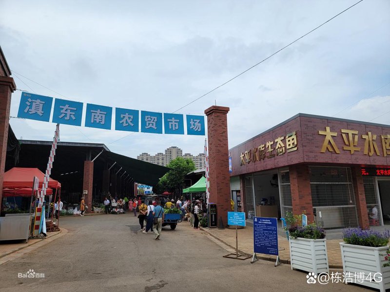 商贸之帆：弘山商贸有限公司引领行业创新潮流